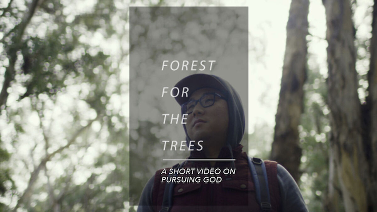 Forest for the Trees Themed Message Transition Video image number null